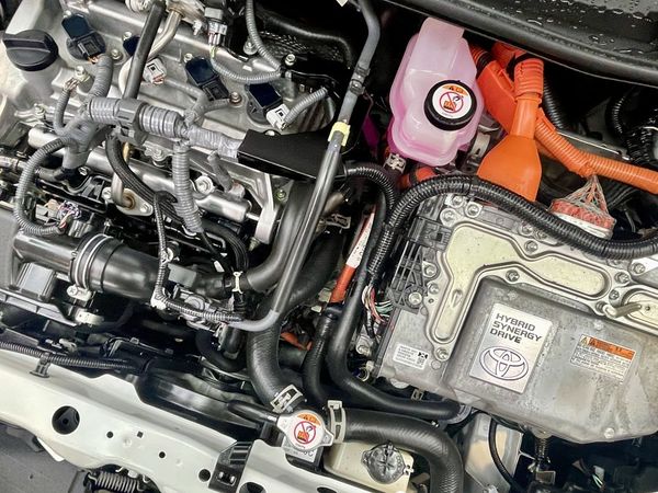 2021 Toyota Corolla Enterprise Hamilton, Te Rapa image 271127