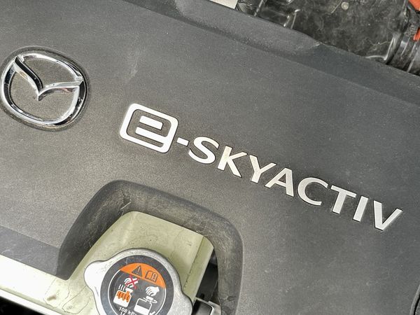 2021 Mazda MX-30 Enterprise Hamilton, Te Rapa image 285922