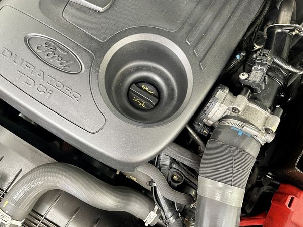 2016 Ford Ranger Enterprise Hamilton, Te Rapa image 287358