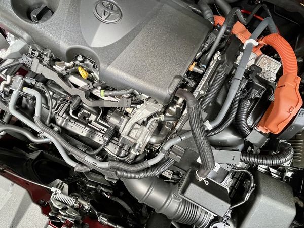 2021 Toyota RAV4 Enterprise Hamilton, Te Rapa image 299572