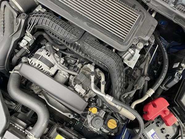 2020 Subaru Levorg Enterprise Hamilton, Te Rapa image 298566