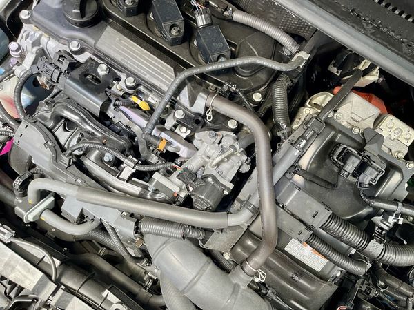 2020 Toyota Yaris Enterprise Hamilton, Te Rapa image 299612