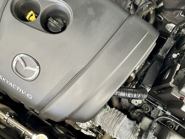 2021 Mazda MX-30 Enterprise Hamilton, Te Rapa image 308053