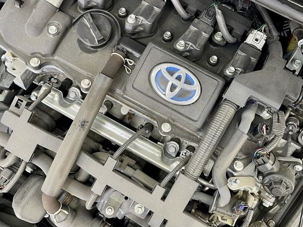 2020 Toyota Corolla Enterprise Hamilton, Te Rapa image 314122