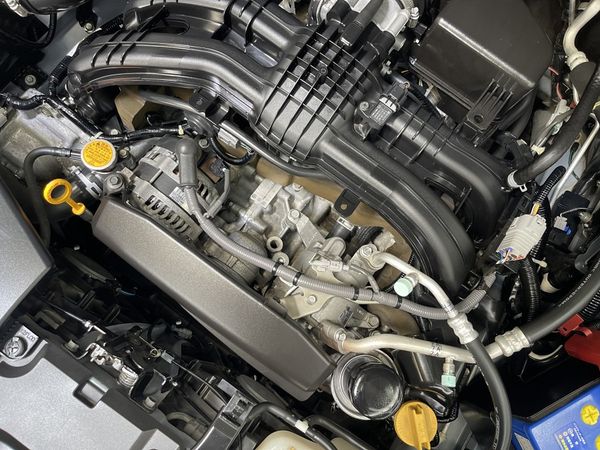 2018 Subaru Impreza Enterprise Hamilton, Te Rapa image 313247