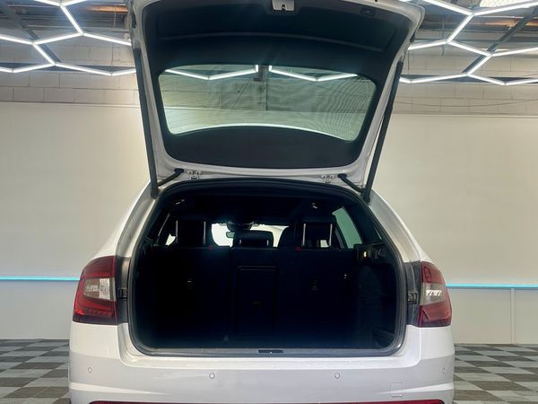 2019 Skoda Octavia Enterprise Hamilton, Te Rapa image 314448