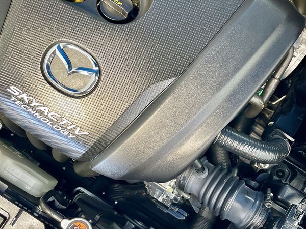 2016 Mazda Demio Enterprise Hamilton, Te Rapa image 317389