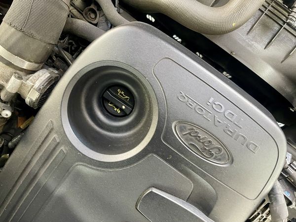 2019 Ford Ranger Enterprise Hamilton, Te Rapa image 317709