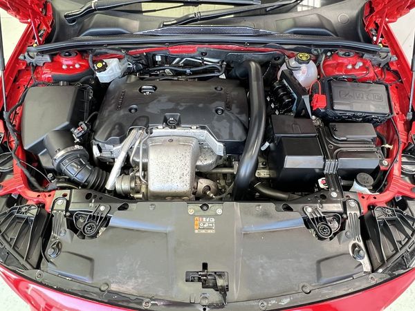 2019 Holden Commodore Enterprise Manukau image 210595