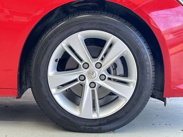 2019 Holden Commodore Enterprise Manukau image 210596