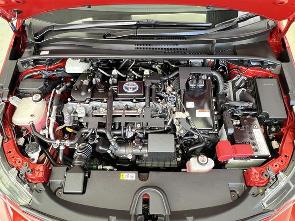 2019 Toyota Corolla Enterprise Manukau image 252911