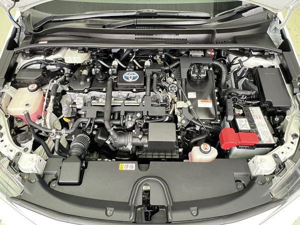 2020 Toyota Corolla Enterprise Manukau image 252886