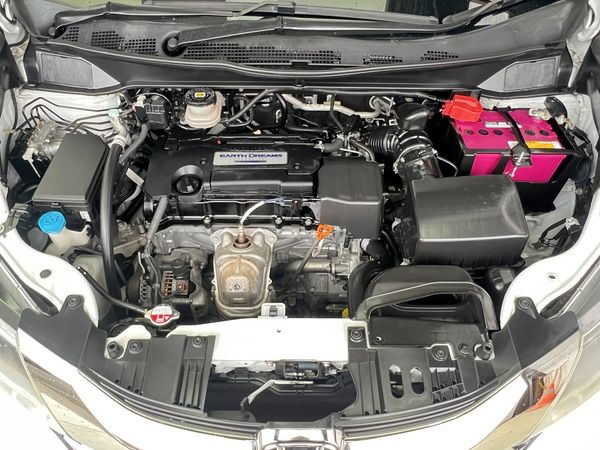 2013 Honda Odyssey Enterprise Manukau image 273525