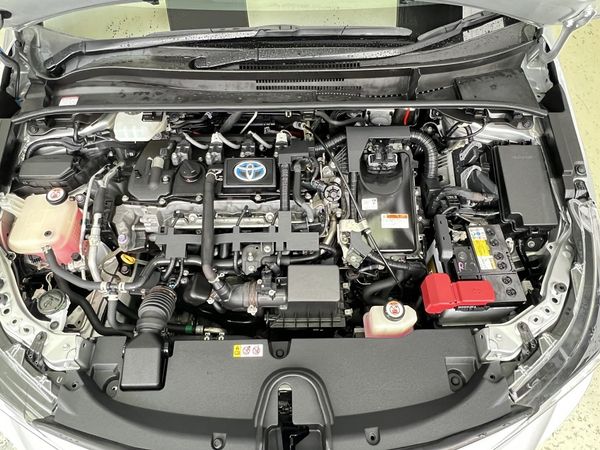 2020 Toyota Corolla Enterprise Manukau image 305131