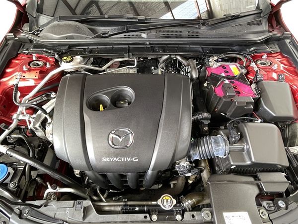 2020 Mazda 3 Enterprise New Lynn image 235941