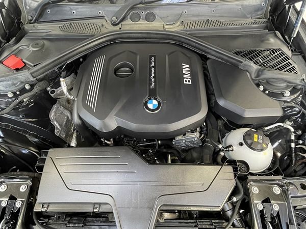 2017 BMW 118i Enterprise New Lynn image 248256