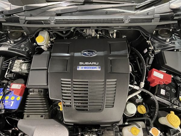 2020 Subaru XV Enterprise New Lynn image 252568