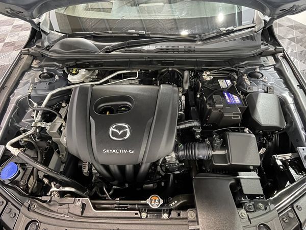 2019 Mazda 3 Enterprise New Lynn image 254401