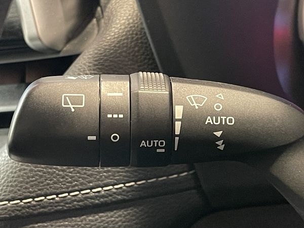 2019 Toyota RAV4 Enterprise New Lynn image 265188