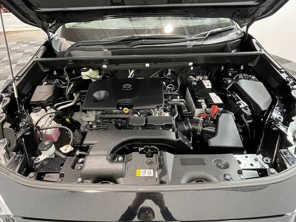 2019 Toyota RAV4 Enterprise New Lynn image 265193