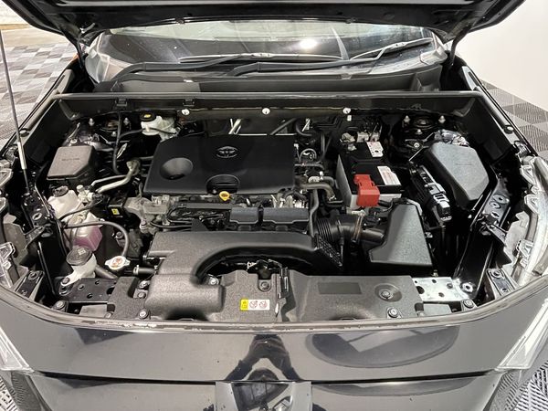 2019 Toyota RAV4 Enterprise New Lynn image 265210