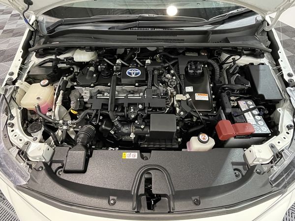 2020 Toyota Corolla Enterprise New Lynn image 260013