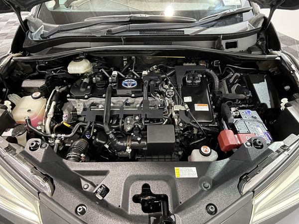 2017 Toyota C-HR Enterprise New Lynn image 269537