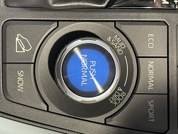 2019 Toyota RAV4 Enterprise New Lynn image 269552