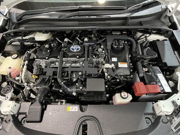 2020 Toyota Corolla Enterprise New Lynn image 295779