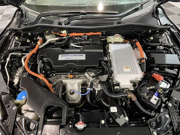 2013 Honda Accord Enterprise New Lynn image 304525