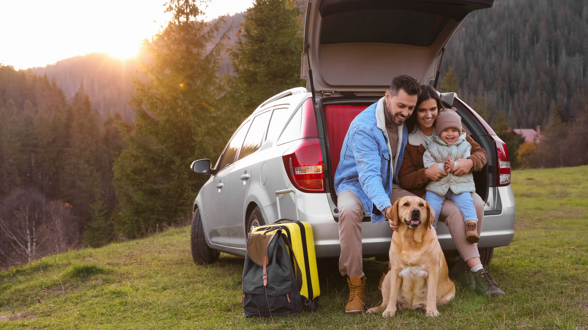 How to make sure your car retains its value article image