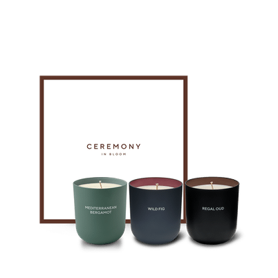 Scented Candle Trio Vol.3