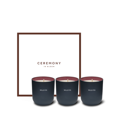 Wild Fig Scented Candle Trio Set