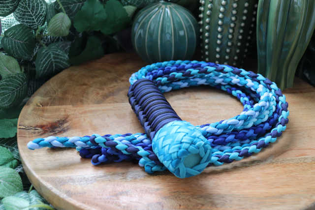 Flogger Dreamy Whale