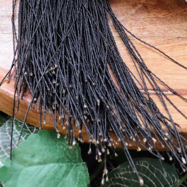 La griffe de licorne - products.floggers.matter.