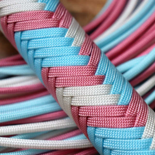 Trans Flag - products.floggers.handle.