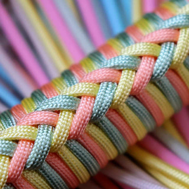 Délice d'Agrumes - products.floggers.handle.