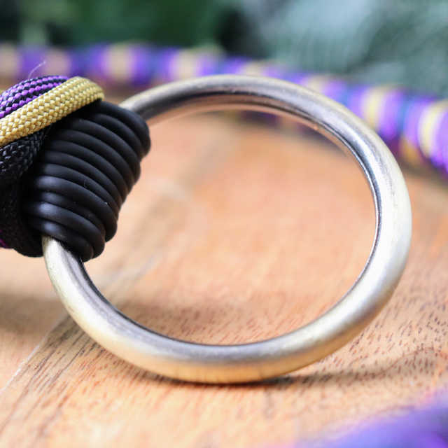 Steampunk - products.floggers.ring.ring-brass