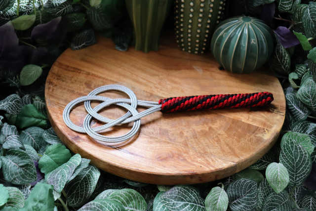 Paddle N°21