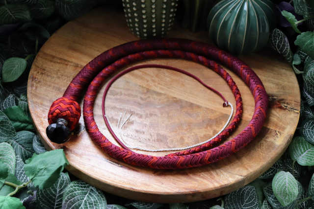 Whip N° 120
