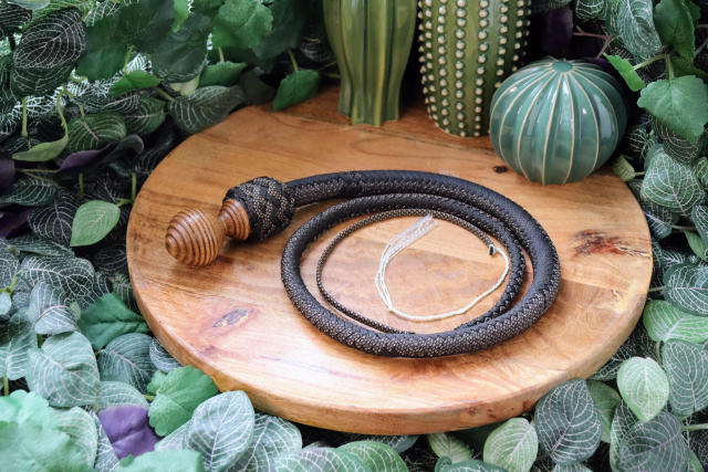 Whip Snakeish