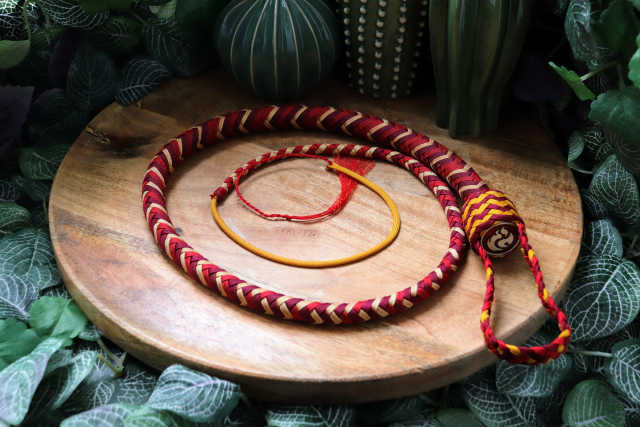 Whip N°151