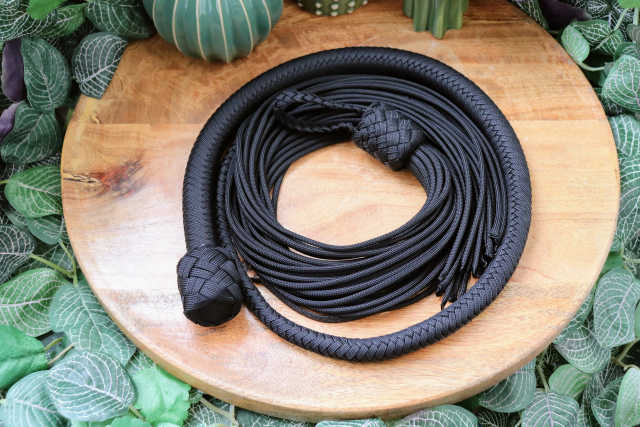 Whip N°154