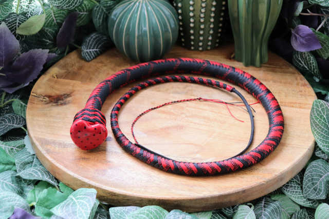 Whip N°163