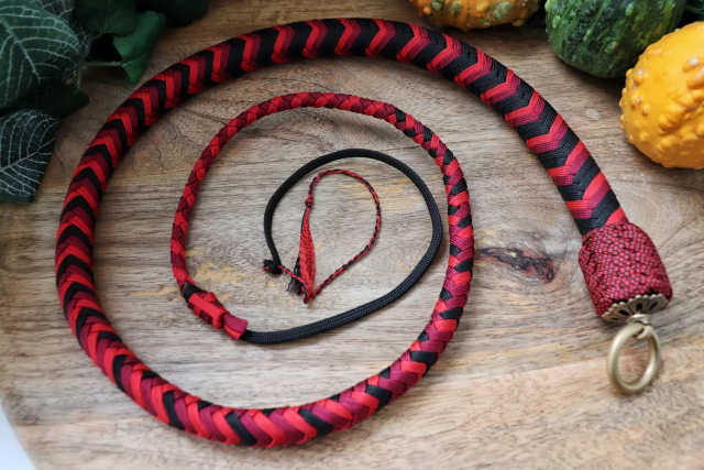 Whip N°17