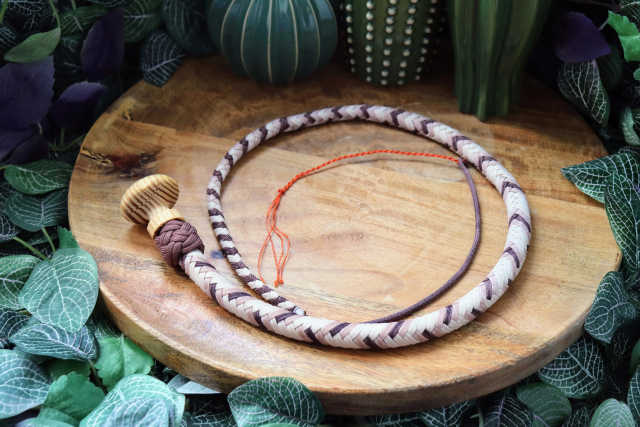 Whip N°196