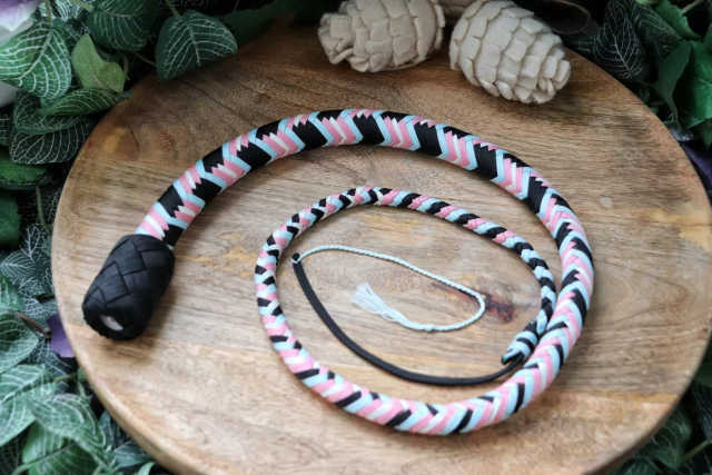 Whip N°20