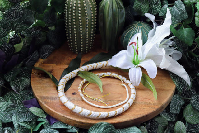 Whip Fleur d'Orage