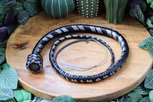 Whip N°201