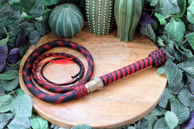 Whip N° 202